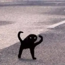 Vindib