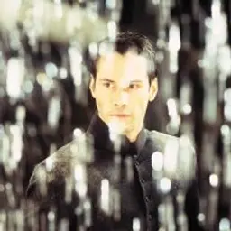 sftsy6