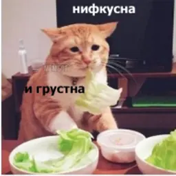 Mordora2