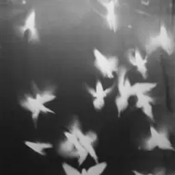 Pe4eNka_228
