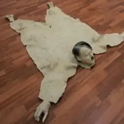s4n3s