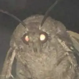 Ilnariys