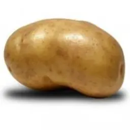 Doshirac