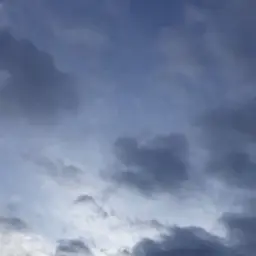drogi