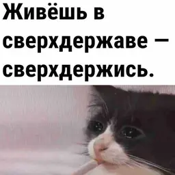 w1nter_inactive476155