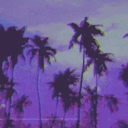ViCe_inactive477685