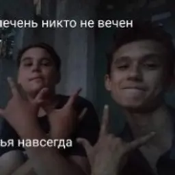 Andrei2315