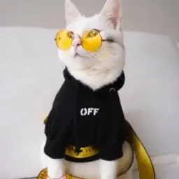 andsrs