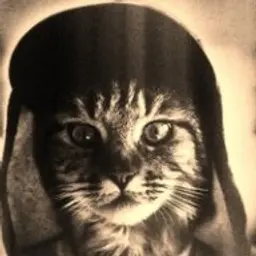 XXXY