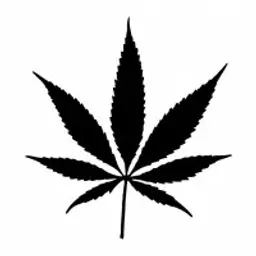 RaSTa1207