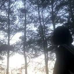Timber1