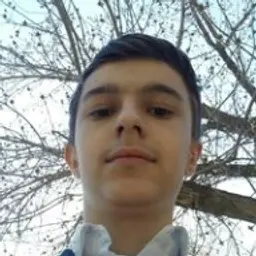 RUIZ_inactive512383