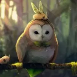 Hurguan
