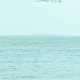 cy3866354