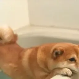 Obeeon
