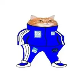 INTELFLEX