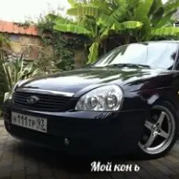 Maxxx56