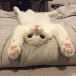 emirka44u
