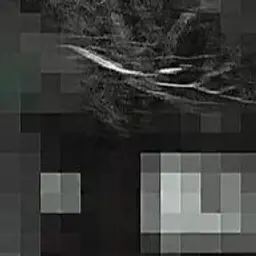 LA77d