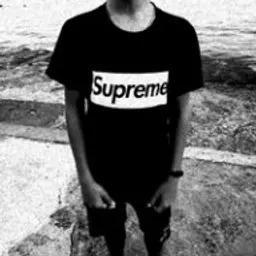 gdzz1398