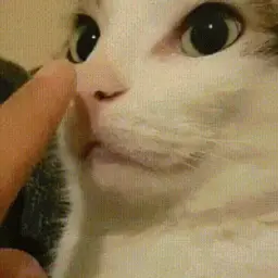 DeimZI