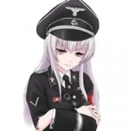 znoijer
