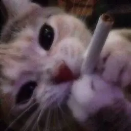 KarMa1501
