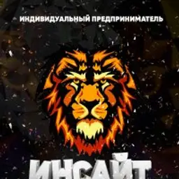Инсайт228
