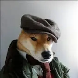 Dev1ne
