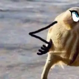 ProsyoLoh