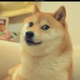 Vadimkaqqww
