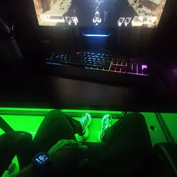 l1x