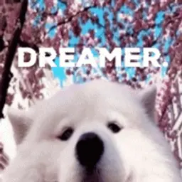 dreamer420