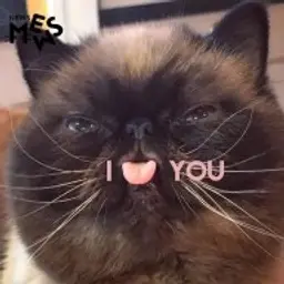 IZI12244