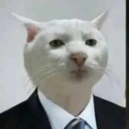 Hoogomo