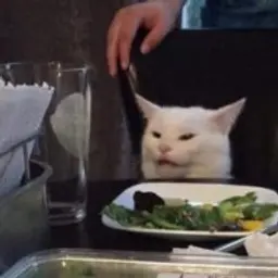12312351516