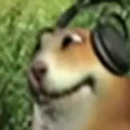 Tro11me