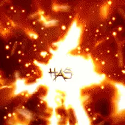 has555