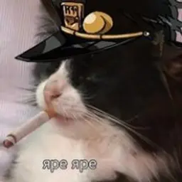 catsjopka322