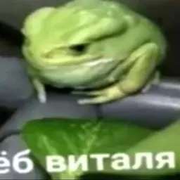 Ogurchik137