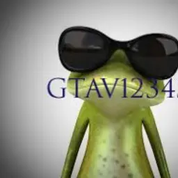 GTAV12345