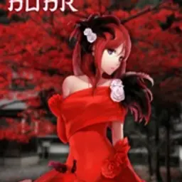BoberKaKoi