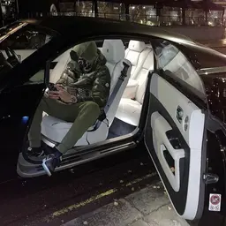 stefanv