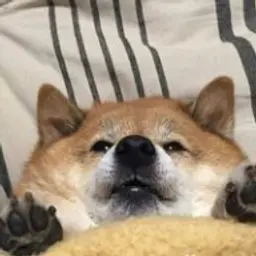 DDDDD32424