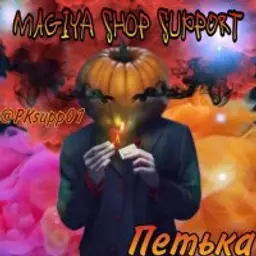 PKsupp01