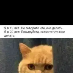 nizzky