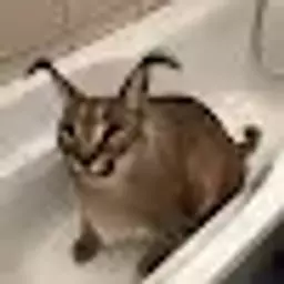 qwuiksi