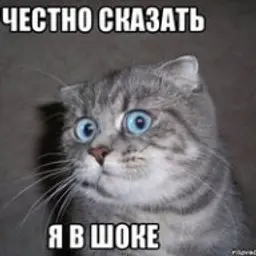 Artemsssss