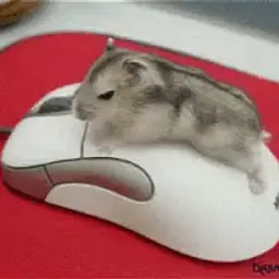 КЛАЙМ