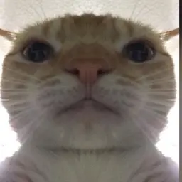 Cheaterflkfdkl